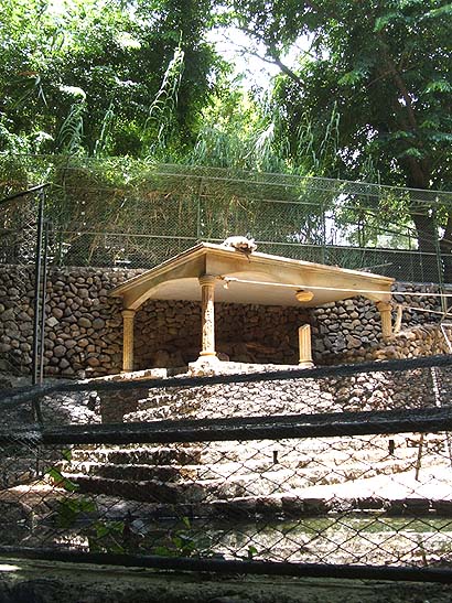 Photo YG 2008